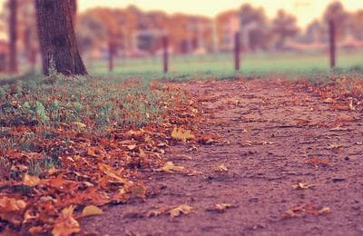 10 Best Explainer Video Examples That Drove Real Revenue in 2026