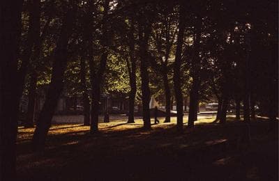 3D Animation for Healthcare: Visualizing Medical Concepts