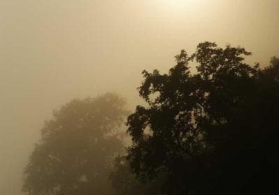 Video testimonial from Dr. Andrew Benjamin, Project Director at NASA