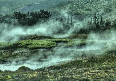 Video testimonial from Lauren H. Cohen, Marketing Director at Fortune 500 Company