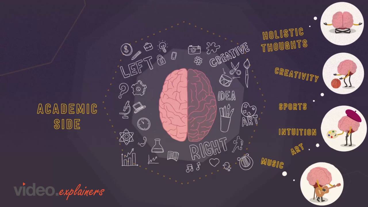 University Course Promo - animated explainer video